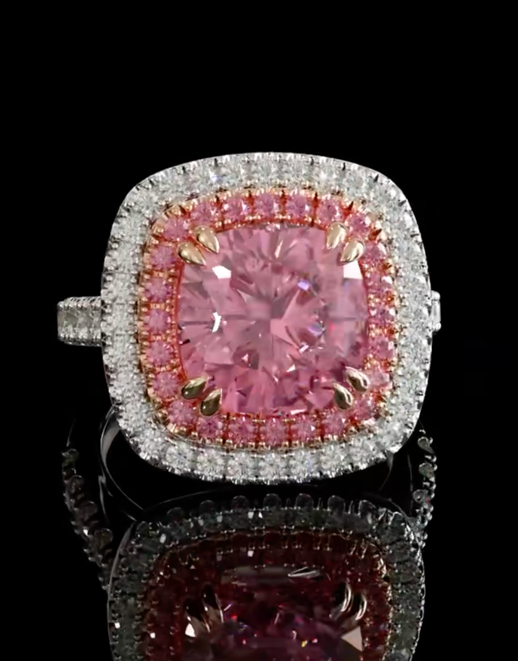 Pink Halo Radiance product image on black background